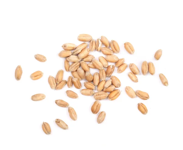 Зерна пшеницы изолированы на белом фоне. Вид сверху — стоковое фото