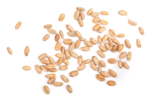 Зерна пшеницы изолированы на белом фоне. Вид сверху — стоковое фото
