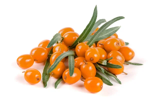 Sea buckthorn. Fresh ripe berry with leaves isolated on white background macro — Stock Photo, Image