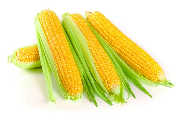 Ear of corn isolated on a white background. Top view — Stock Photo, Image