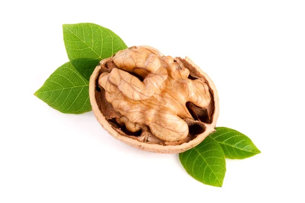 Walnut with leaf isolated on white background — Stock Photo, Image