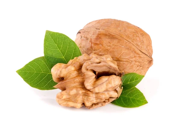 Walnuts with leaf isolated on white background — Stock Photo, Image