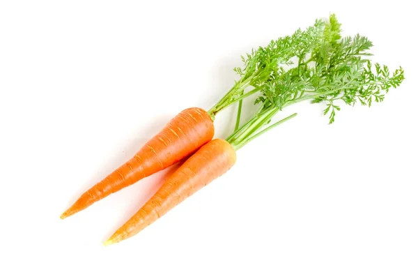 胡萝卜蔬菜,叶子在白色背景上隔离 — 图库照片