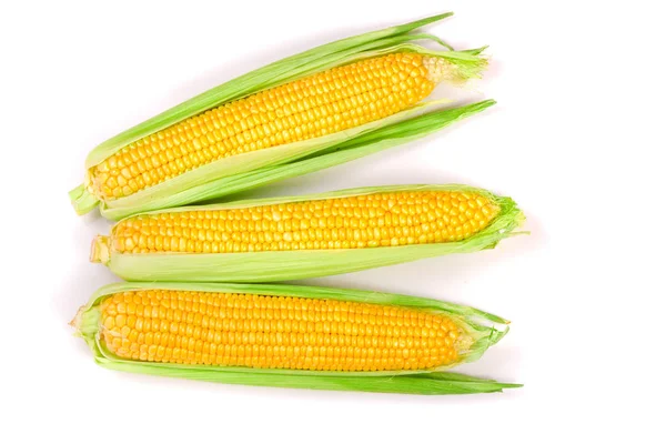Mazorca de maíz aislada sobre fondo blanco. Vista superior — Foto de Stock