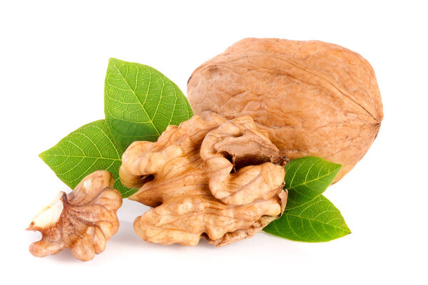 Walnuts with leaf isolated on white background