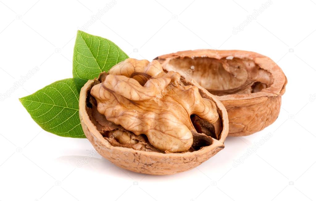 Walnut with leaf isolated on white background