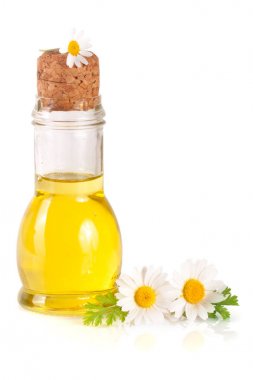 Beyaz arka planda özgün yağ ve taze papatya çiçekleri bulunan şişe.