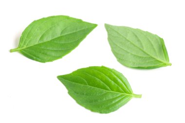 Beyaz arka plan closeup izole fesleğen bitki yaprakları