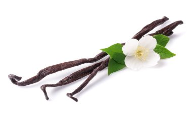 Çiçek ve yaprak beyaz arka plan üzerinde izole ile vanilya çubukları
