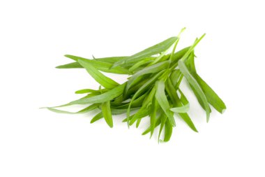 Beyaz bir arka plan üzerinde izole tarhun. Artemisia dracunculus