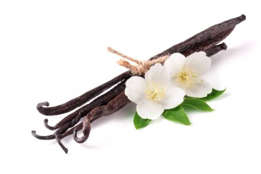 Çiçek ve yaprak beyaz arka plan üzerinde izole ile vanilya çubukları