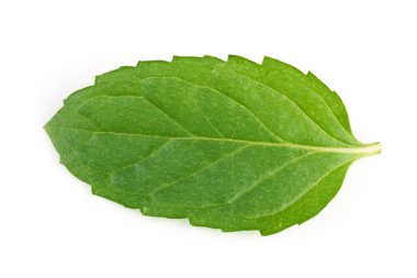 Beyaz arkaplanda izole edilmiş taze nane yaprakları