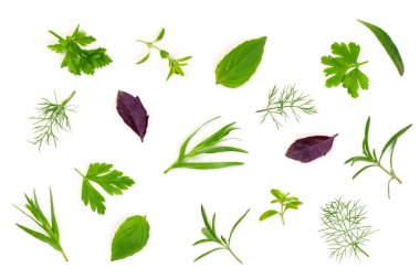 Taze baharat ve otlar beyaz arka plan üzerinde izole. Dereotu maydanoz fesleğen kekik tarhun. Üstten Görünüm