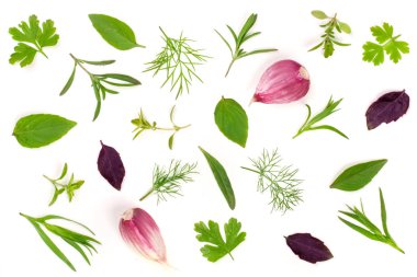 Taze baharat ve otlar beyaz arka plan üzerinde izole. Dereotu maydanoz fesleğen kekik tarhun sarımsak. Üstten Görünüm