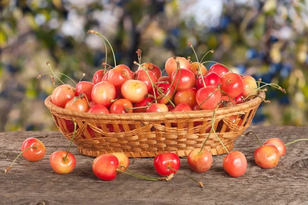 Bulanık bir bahçe arka plan ile ahşap bir masa üzerinde bir hasır sepet içinde sarı kiraz