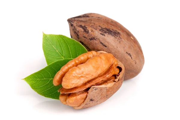 Two pecans with leaves isolated on white background — Stock Photo, Image