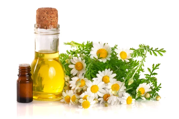 Beyaz arka planda özgün yağ ve taze papatya çiçekleri bulunan şişe.