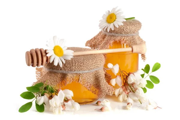 Jar of honey with flowers of acacia and chamomile isolated on white background — Stock Photo, Image