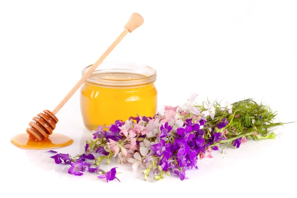 Csupor mézet, vadvirágok elszigetelt fehér background — Stock Fotó