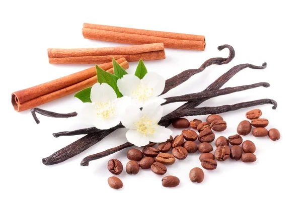 Stik vanili dan kayu manis dengan biji kopi dan bunga terisolasi pada latar belakang putih — Stok Foto