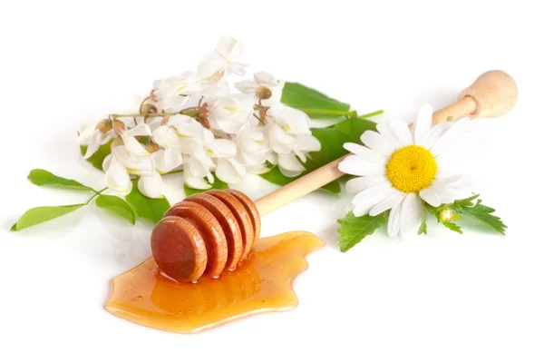 Mel stick com mel fluindo e flores de camomila de acácia isolado no fundo branco — Fotografia de Stock
