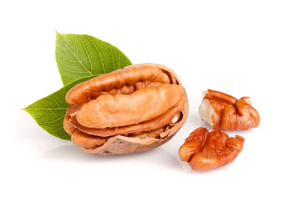 One pecan with leaves isolated on white background — Stock Photo, Image