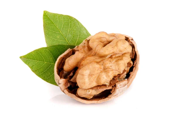 Walnut with leaf isolated on white background — Stock Photo, Image