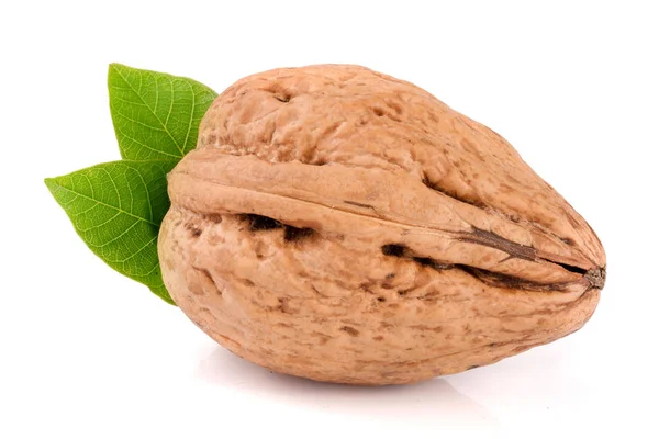 Walnut with leaf isolated on white background — Stock Photo, Image