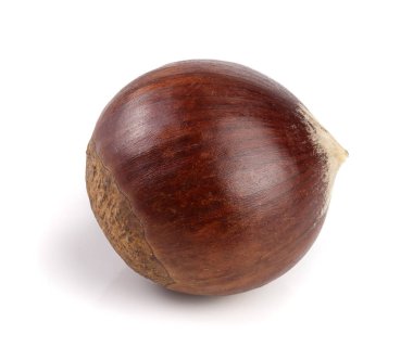 Beyaz arka plan üzerinde izole taze yenilebilir kestane