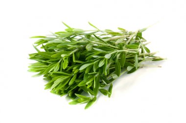 Kekik taze bitkisi beyaz arkaplanda izole edilmiş.