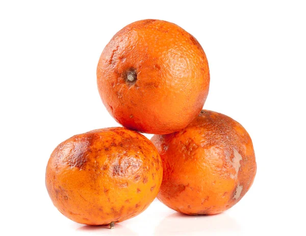 Tre mandarino danneggiato isolato su sfondo bianco — Foto Stock
