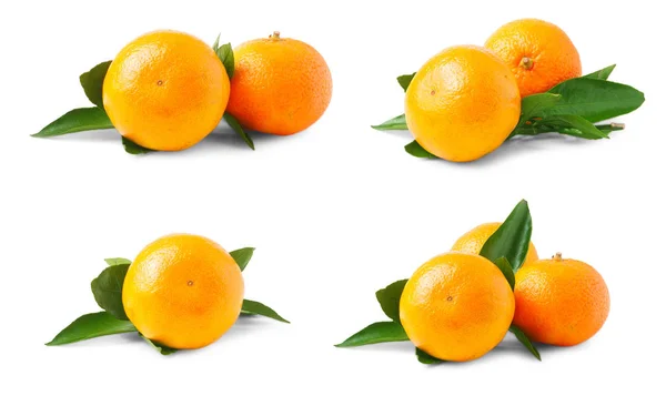 Două mandarine coapte cu frunze izolate pe fundal alb. Set sau colecție — Fotografie, imagine de stoc