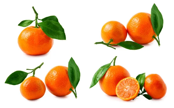 Duas tangerinas maduras com folhas isoladas sobre fundo branco. Conjunto ou coleção — Fotografia de Stock