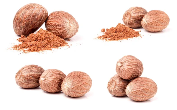 Four nutmeg and powder isolated on white background. Set or collection — Stock Photo, Image