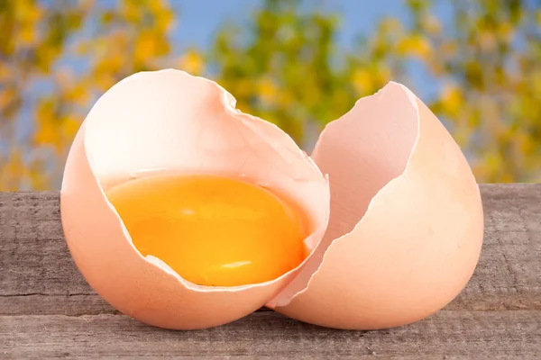 Gebroken ei met eigeel en de "eggshell" op een houten tafel met een wazige achtergrond van tuin — Stockfoto