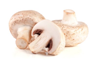 Beyaz arka planda izole edilmiş taze şampiyon mantarları