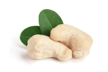 Beyaz arka plan üzerinde izole yaprak ile kaşu fındık. Makro