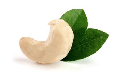Beyaz arka plan üzerinde izole yaprak ile kaşu somun. Makro