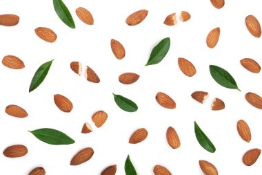 Beyaz arka plan üzerinde izole yaprakları ile badem. Düz yatıyordu desen