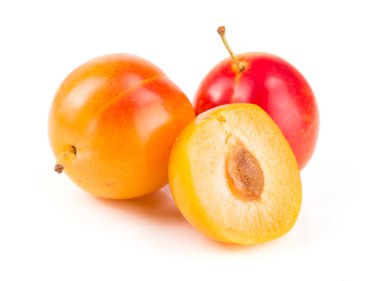 Sarı Erik ve yarısı beyaz arka plan üzerinde izole