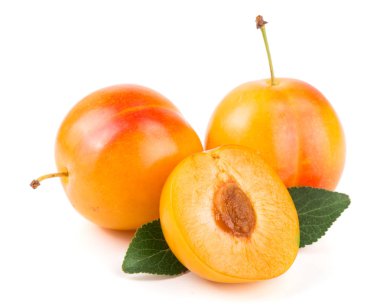 Beyaz arkaplanda yaprakları olan sarı erik