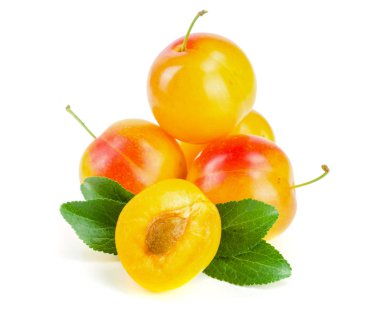 Yaprak Beyaz arka plan üzerinde izole sarı Erik