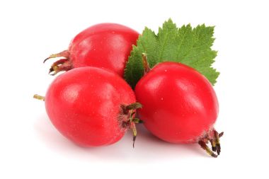 Hawthorn berry izole beyaz arka plan yakın çekim yaprak ile