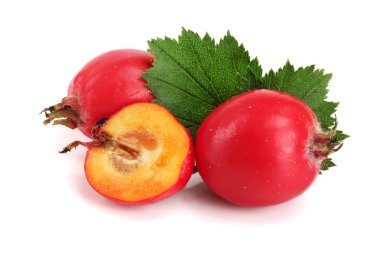 Hawthorn berry izole beyaz arka plan yakın çekim yaprak ile
