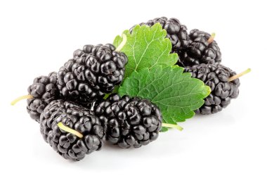 Beyaz arka planda yaprak izole edilmiş dut üzümü