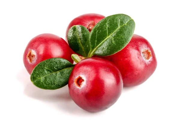 Cranberry dengan daun terisolasi pada latar belakang putih menutup makro — Stok Foto