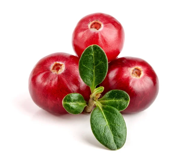 Cranberry with leaf isolated on white background closeup macro — Stock Photo, Image