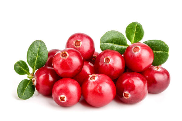 Cranberry with leaf isolated on white background closeup macro