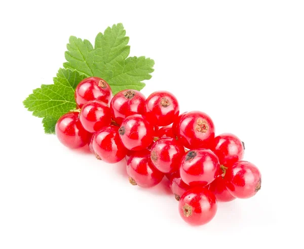 Red currant berries with leaf isolated on white background — Stock Photo, Image