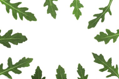 çerçeve izole kopya alanı metniniz için beyaz zemin üzerine yeşil taze rucola veya roka yaprağı. . Üstten Görünüm